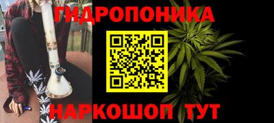 каннабис Кингисепп