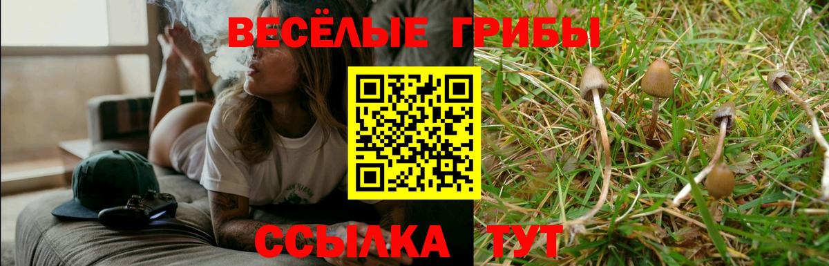 Псилоцибиновые грибы мухоморы  Псилоцибиновые грибы мицелий  Кинель  Вход с VPN 