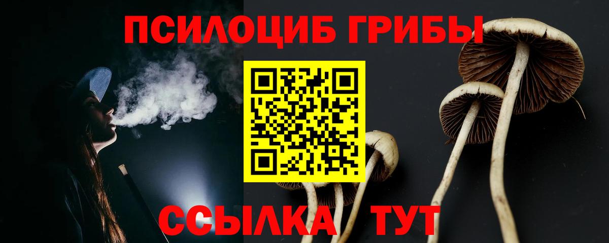 ТГК Кинель